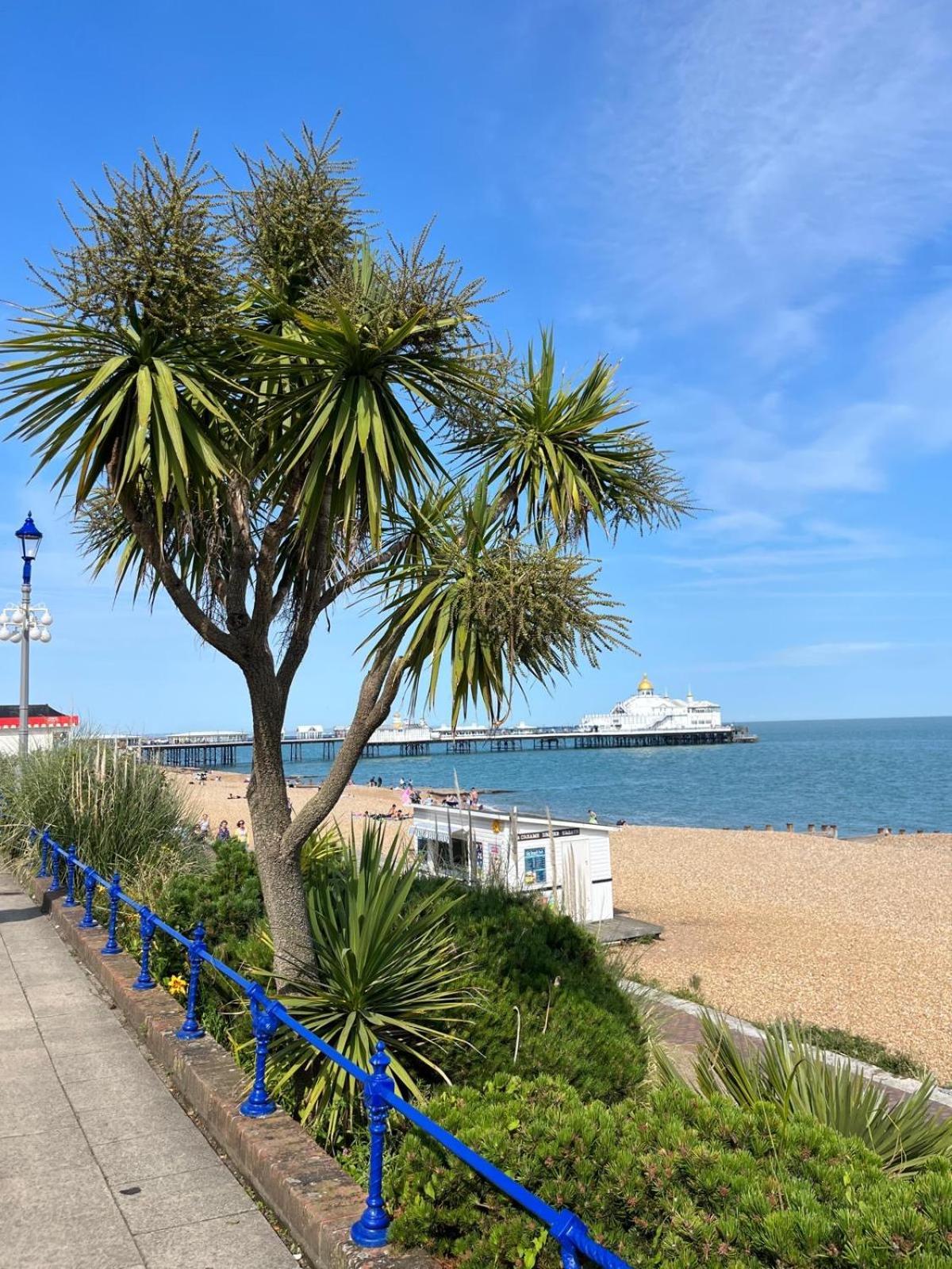 "The Parlour" Seafront Apartment Eastbourne Kültér fotó